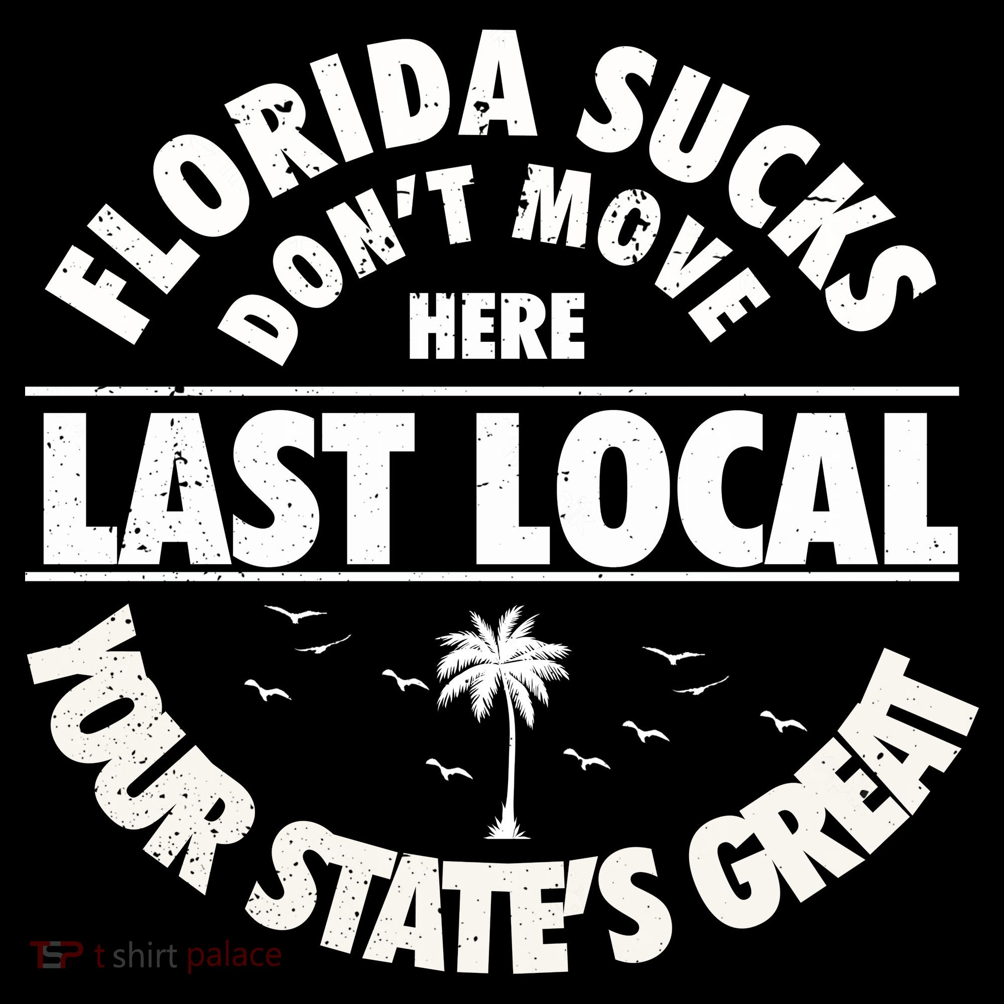 Florida Sucks Dont Move Here Last Local Funny Women's Hoodie