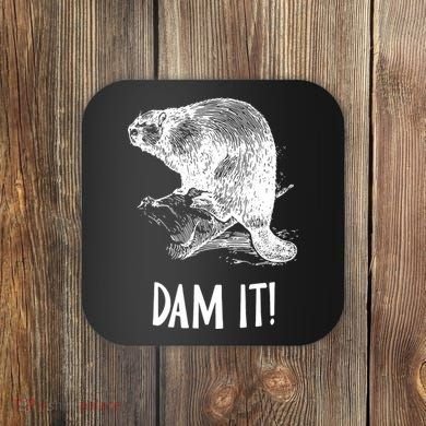 Funny Saying Dam It Beaver Funny Beaver Saying Coaster