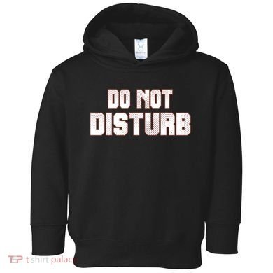 Funny Sayings; Do Not Disturb Toddler Hoodie