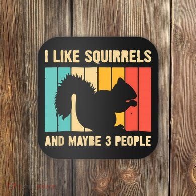 Funny Squirrel Design For Pet Squirrel Lovers Coaster