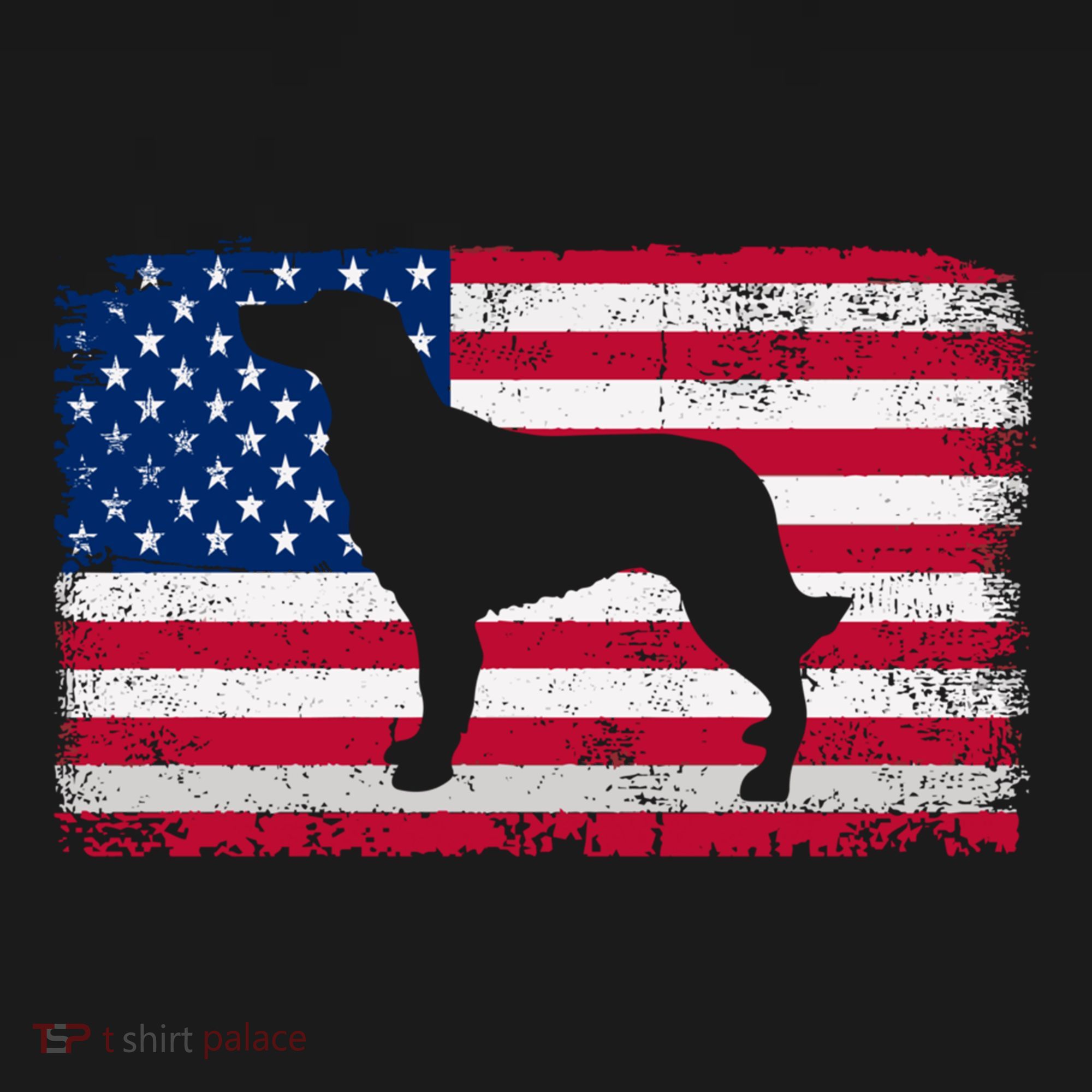 French Spaniel Dog Lover 4th Of July Patriotic American Flag Cute Gift Women's Hoodie