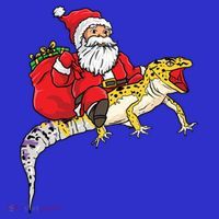 Fun Santa Delivering Presents On Leopard Gecko Lizard Gift Toddler T-Shirt thumb 4