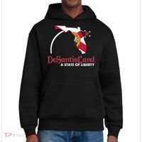 Florida State DeSantisLand A State Of Liberty District V.I.T. Heavyweight Hoodie thumb 0