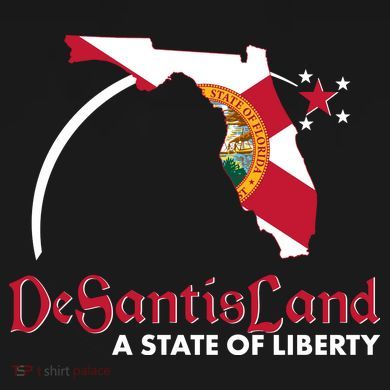 Florida State DeSantisLand A State Of Liberty Women's Hoodie