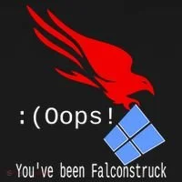 Falcon Struck Hoodie thumb 2