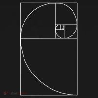 Fibonacci Spiral Fibonacci Golden Ratio Tank Top thumb 6