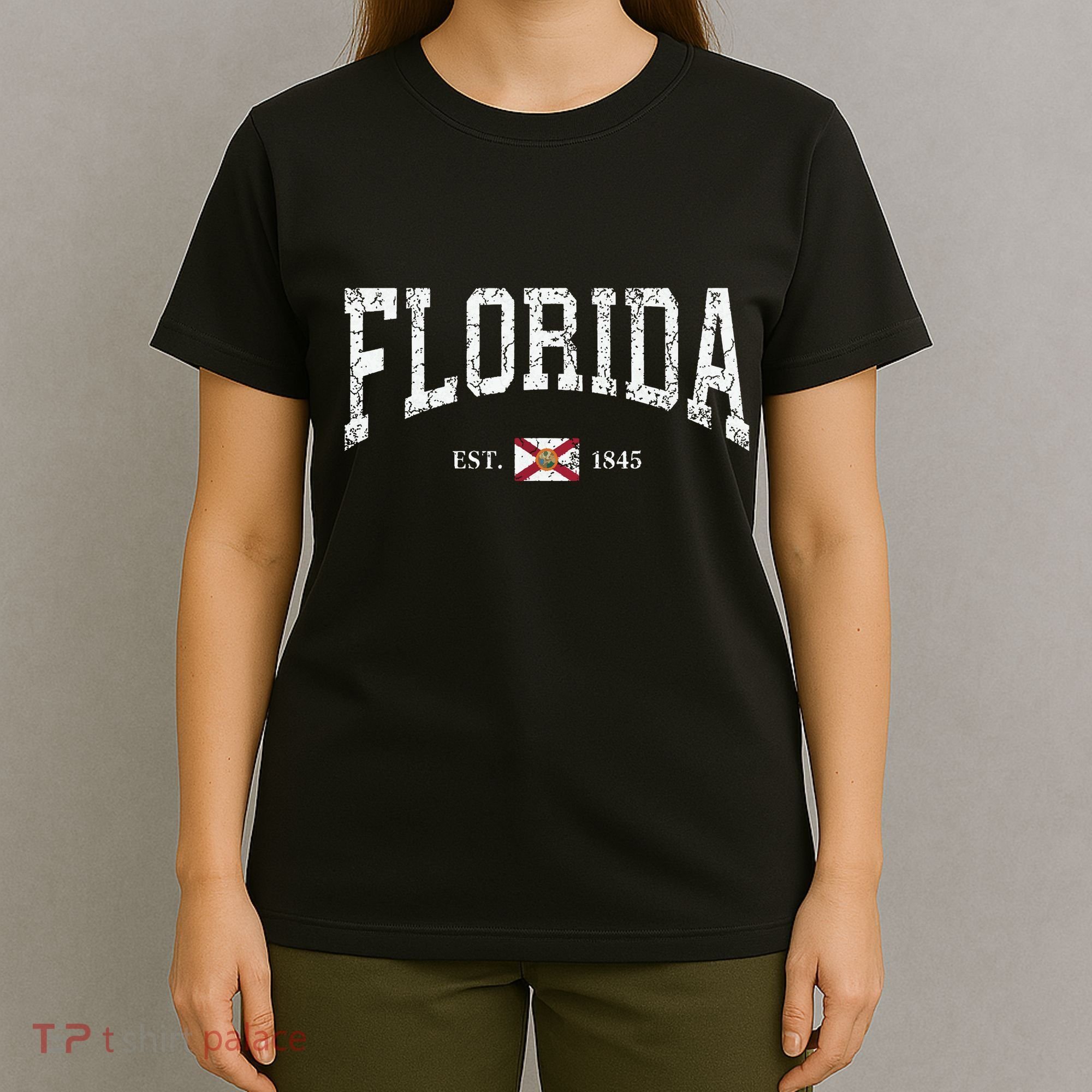 Florida State Flag Est 1845 Vintage Distressed T-Shirt