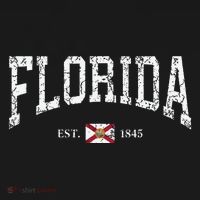 Florida State Flag Est 1845 Vintage Distressed T-Shirt thumb 7