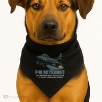 F-10 Skyknight USA-Made Doggie Bandana thumb 1