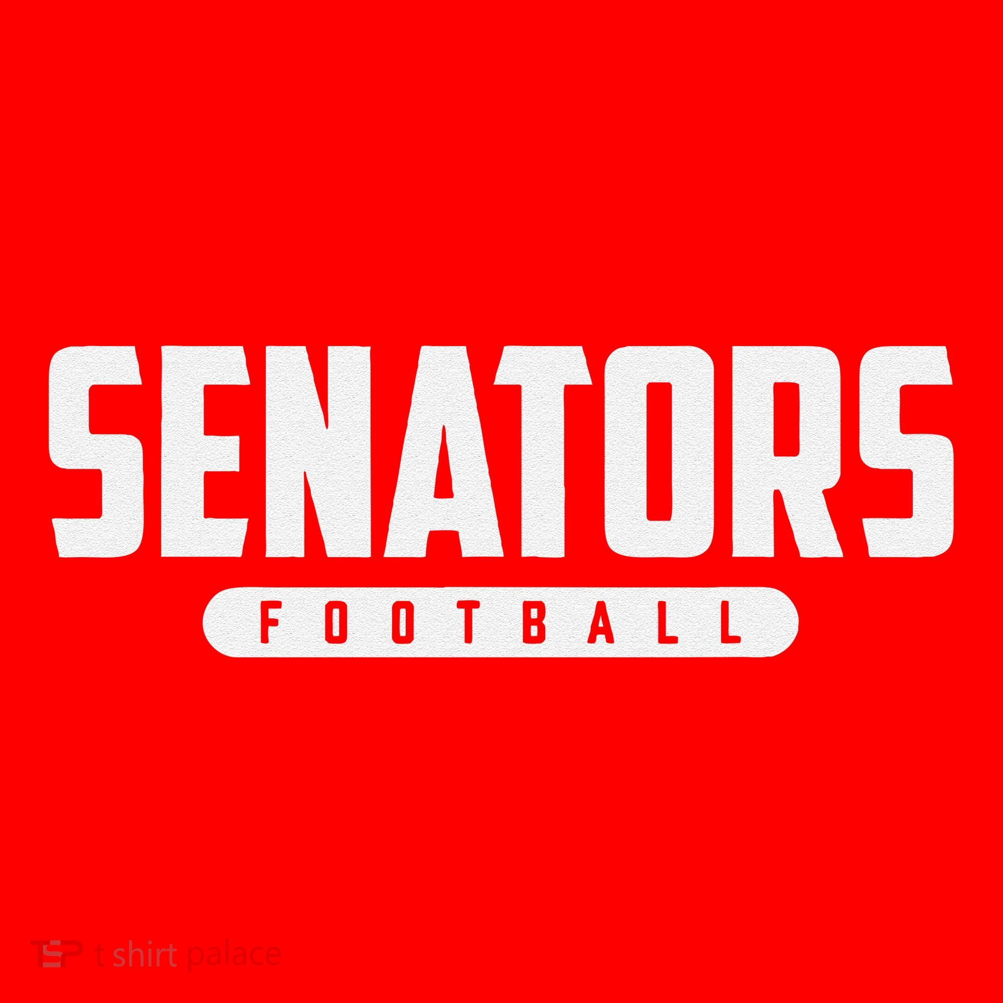 Fletcher Senators Football Santa Hat