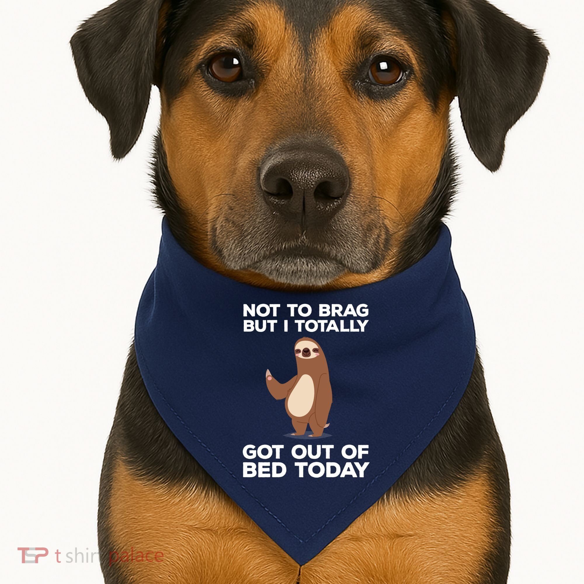 Funny Sloth - Got Out Of Bed Today USA-Made Doggie Bandana