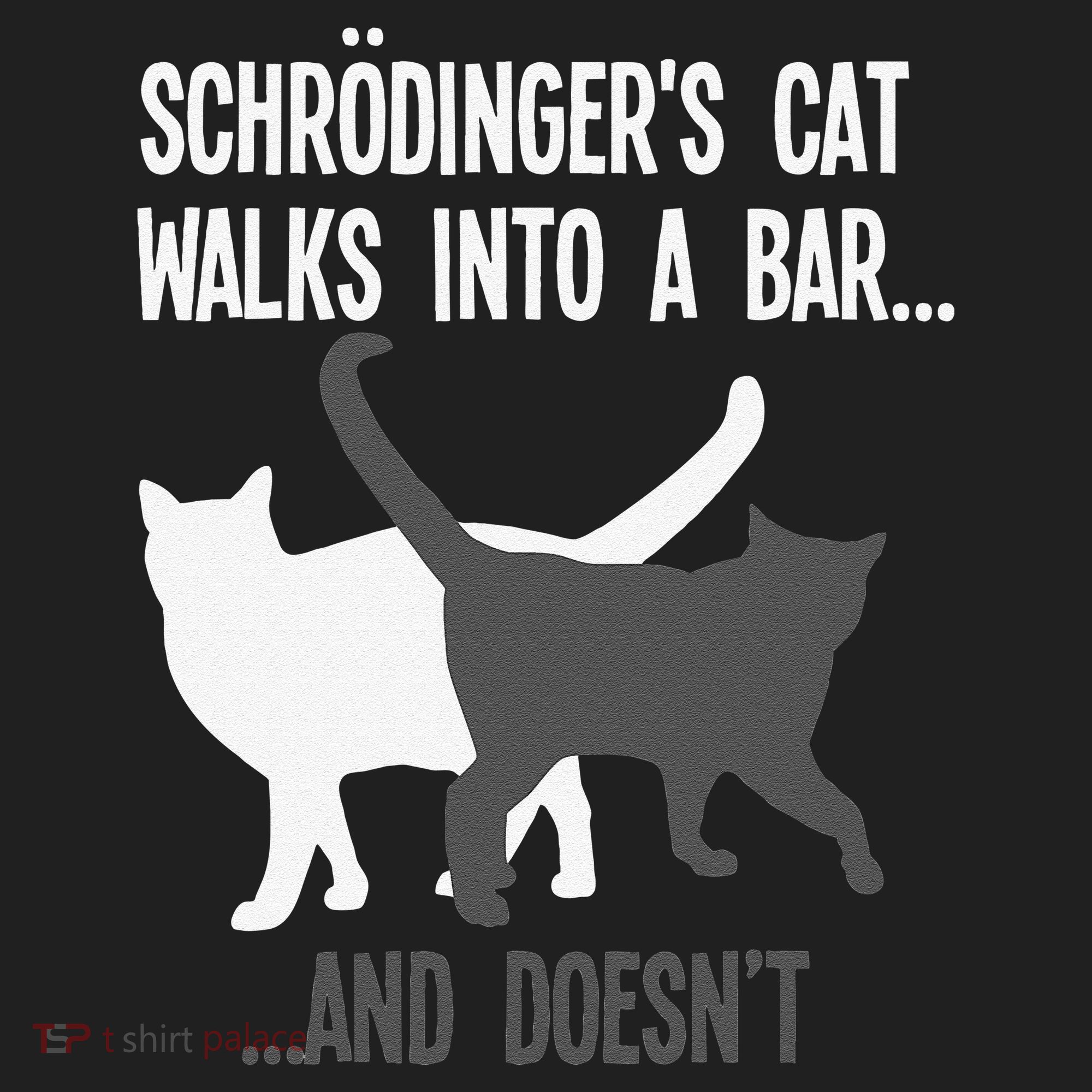 Funny Scientist Gift Schroedingers Cat Quantum Physics Women's Sweatshirt