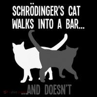 Funny Scientist Gift Schroedingers Cat Quantum Physics Women's Hoodie thumb 2