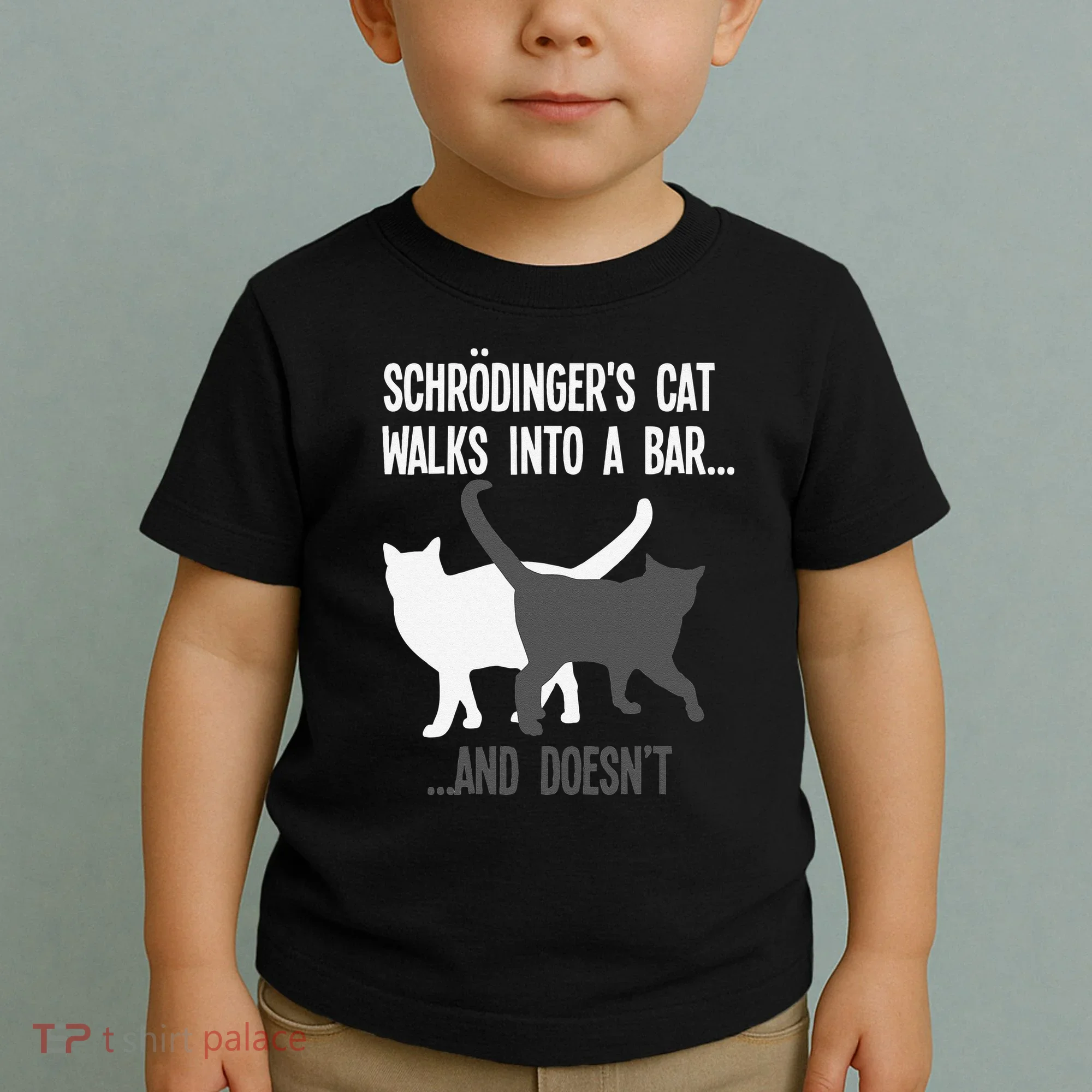 Funny Scientist Gift Schroedingers Cat Quantum Physics Toddler T-Shirt
