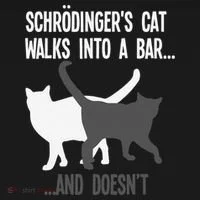 Funny Scientist Gift Schroedingers Cat Quantum Physics Women's T-Shirt thumb 6