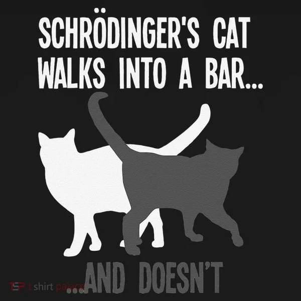 Funny Scientist Gift Schroedingers Cat Quantum Physics Women's T-Shirt