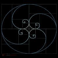 Fibonacci Spiral Golden Ratio Geometry Architecture Button thumb 1