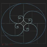 Fibonacci Spiral Golden Ratio Geometry Architecture Hat thumb 2