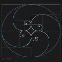Fibonacci Spiral Golden Ratio Geometry Architecture Women's T-Shirt thumb 6