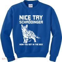 Funny Science Gift Schrödingers Cat Quote Physics Great Gift Kids Sweatshirt thumb 0