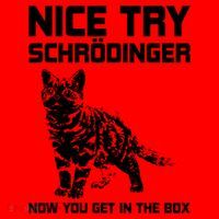 Funny Science Gift Schrödingers Cat Quote Physics Great Gift Santa Hat thumb 1