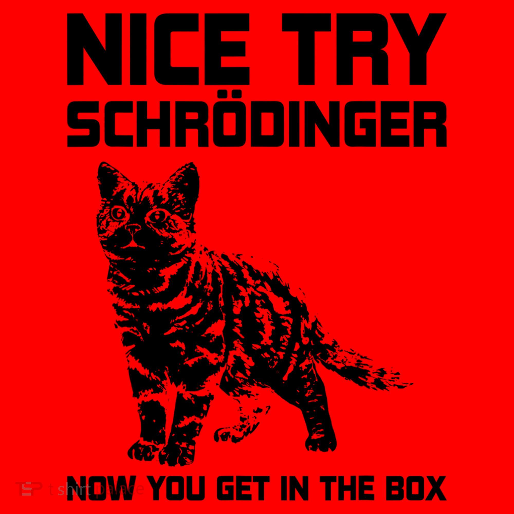 Funny Science Gift Schrödingers Cat Quote Physics Great Gift Santa Hat