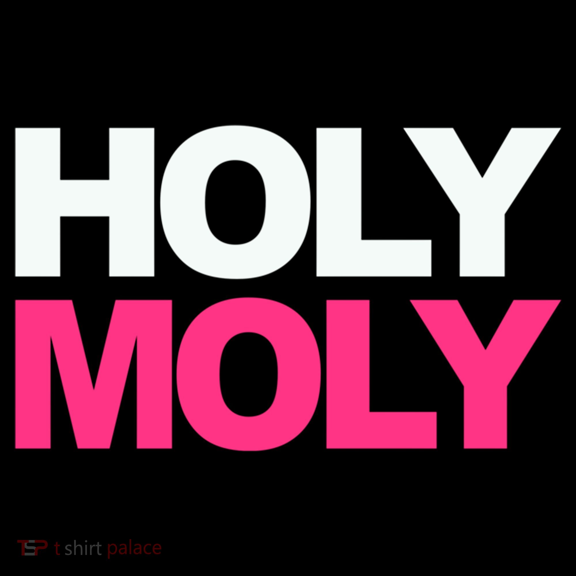 Funny Saying Gift Holy Moly And Gift Ornament