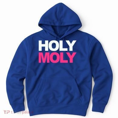 Funny Saying Gift Holy Moly And Gift Hoodie