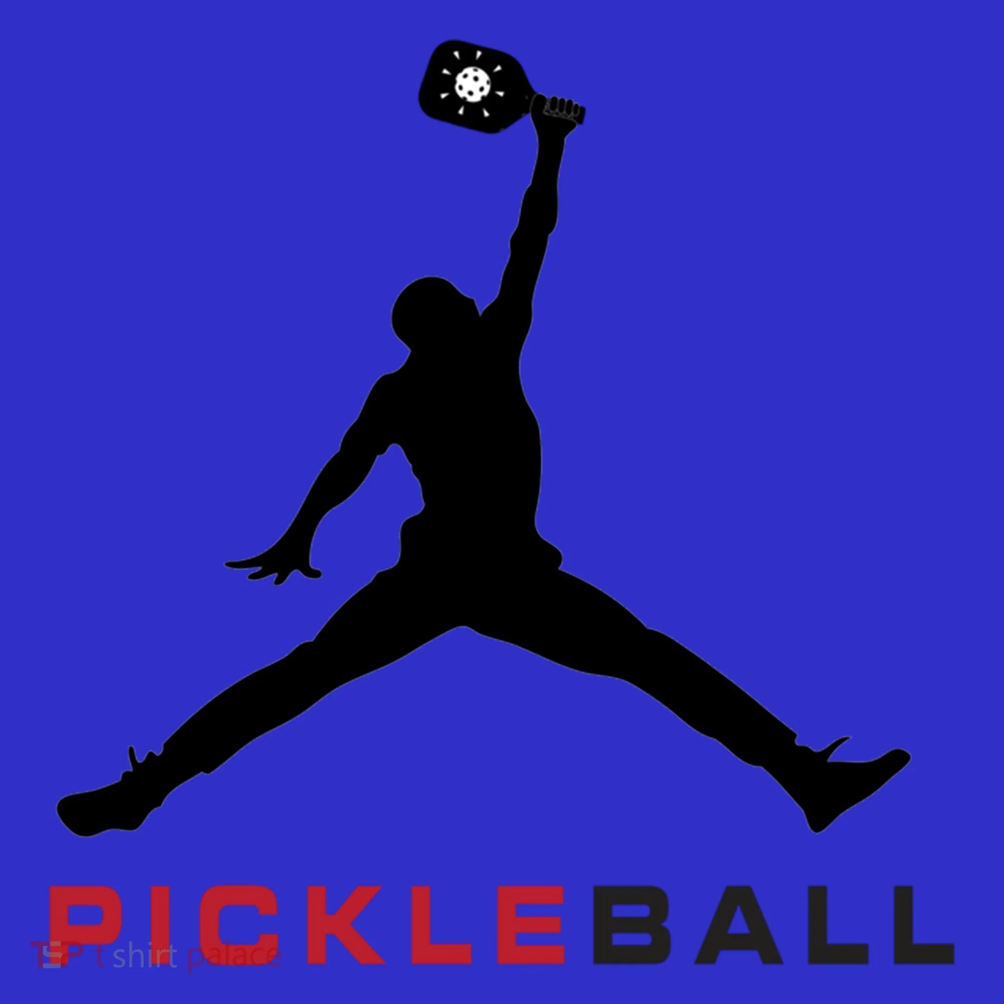 Funny S Gift Pickleball Gift Hoodie