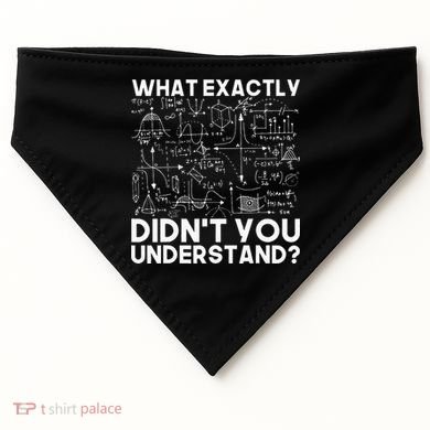 Funny Science Gift Idea Physicist Math Physics USA-Made Doggie Bandana