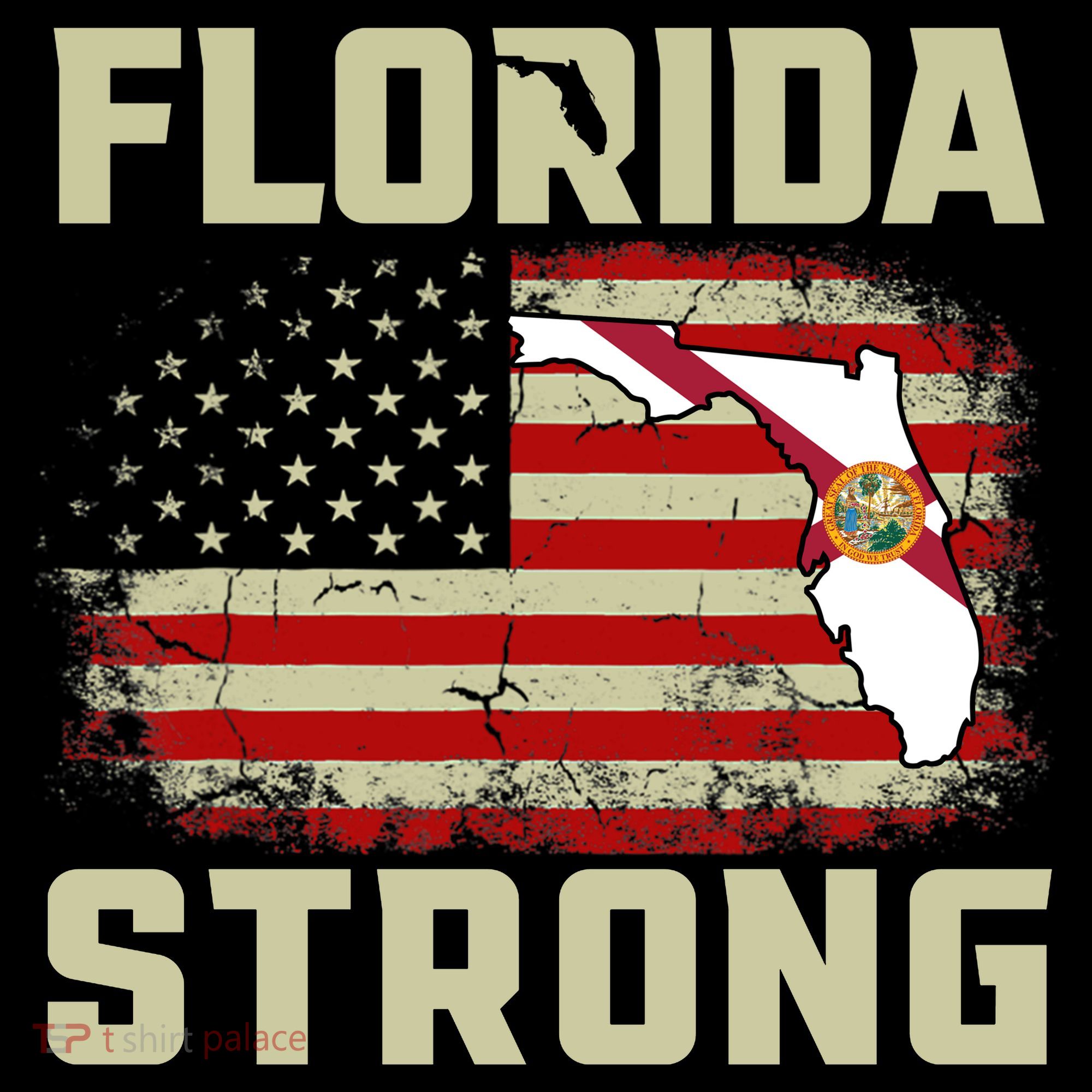 Florida Strong Hurricane Ian Support Florida Kids T-Shirt
