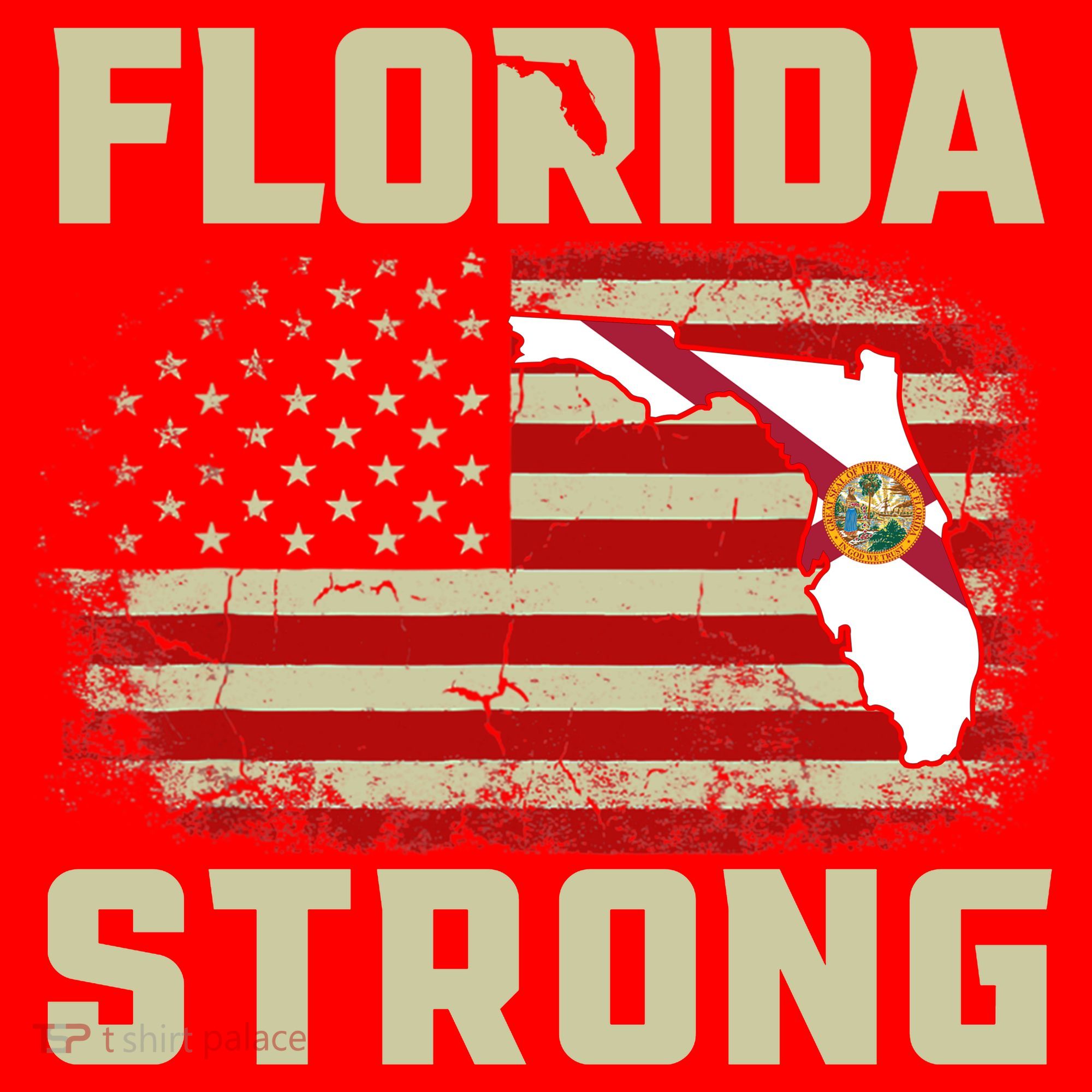 Florida Strong Hurricane Ian Support Florida Santa Hat