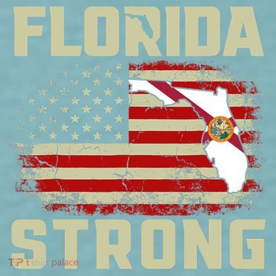 Florida Strong Hurricane Ian Support Florida Sueded Cloud Jersey T-Shirt