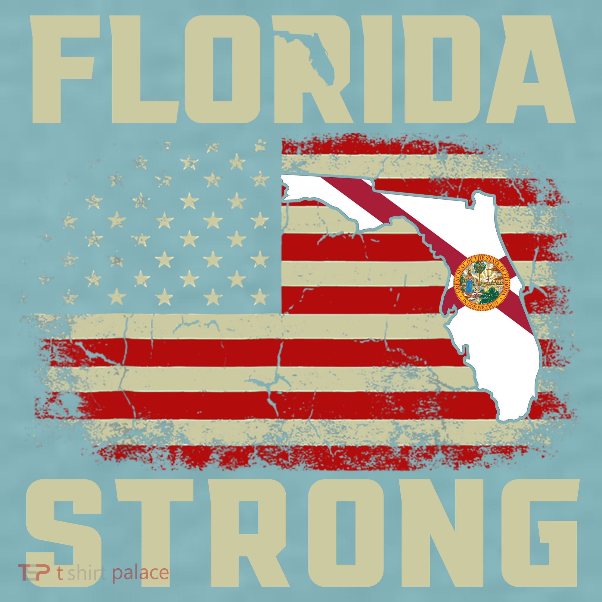 Florida Strong Hurricane Ian Support Florida Sueded Cloud Jersey T-Shirt