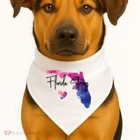 Florida Strong Hurricane Helene USA-Made Doggie Bandana thumb 1