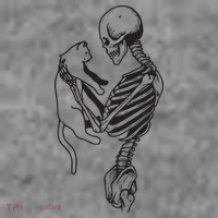 Funny Skeleton Holding A Cat, Cat Lover, Cat Mom, Halloween Toddler Hoodie thumb 2