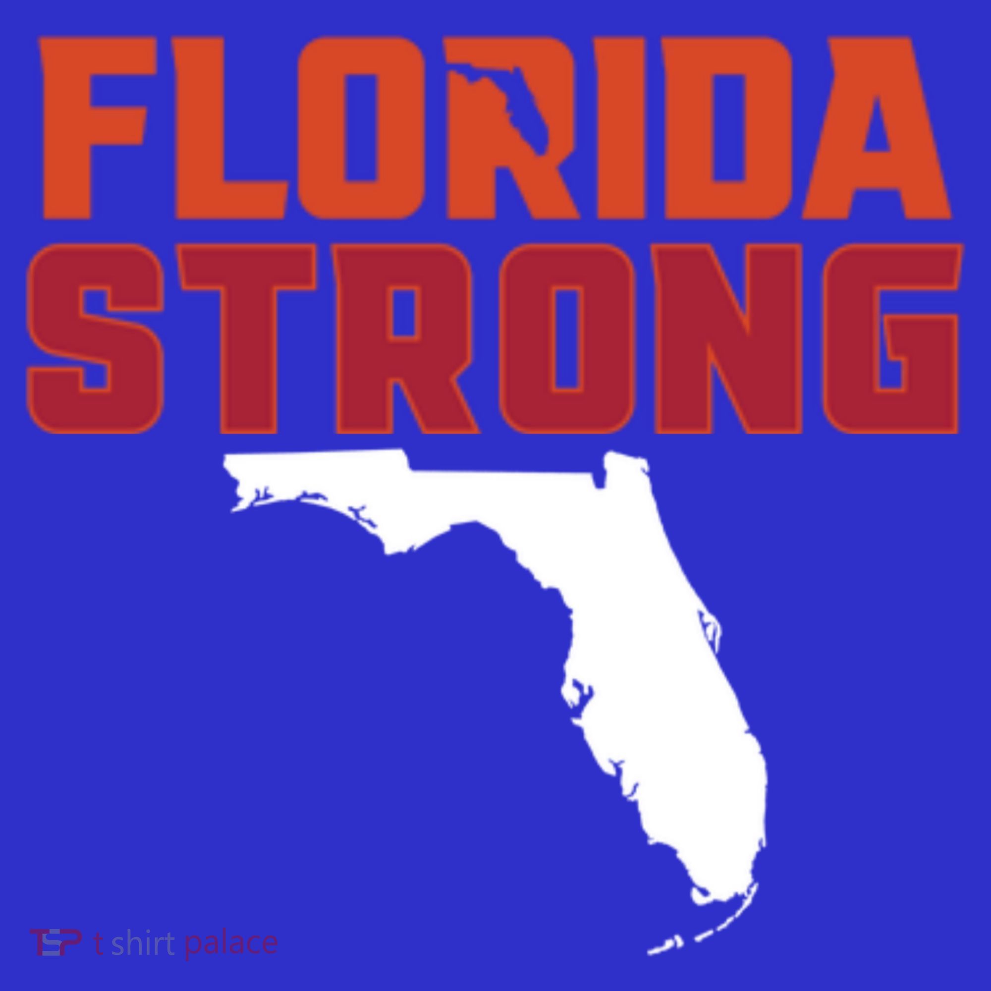 Florida Strong Hurricane Ian Support Florida Coaster