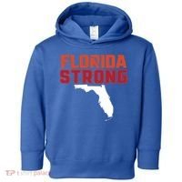 Florida Strong Hurricane Ian Support Florida Toddler Hoodie thumb 0