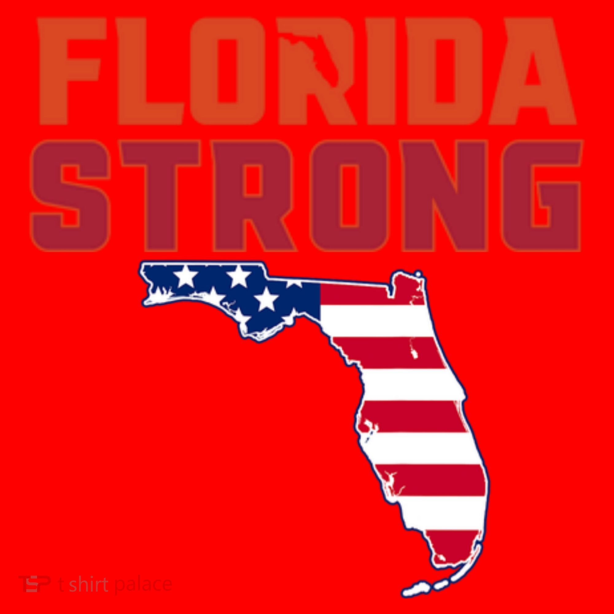 Florida Strong Hurricane Ian Support Florida American Flag Santa Hat
