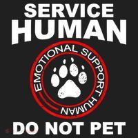 Funny Service Human Gift Funny Dog Owner Emotional Support Human Hat thumb 2