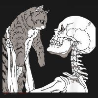 Funny Skeleton Holding A Cat Shirt Lazy Halloween Costume Skull Coaster thumb 2