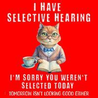 Funny Selective Hearing Joke For Adults Humor Cat Sarcastic Santa Hat thumb 1