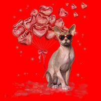 Funny Sphynx Heart Valentines Day Cat Dad Mom Santa Hat thumb 1
