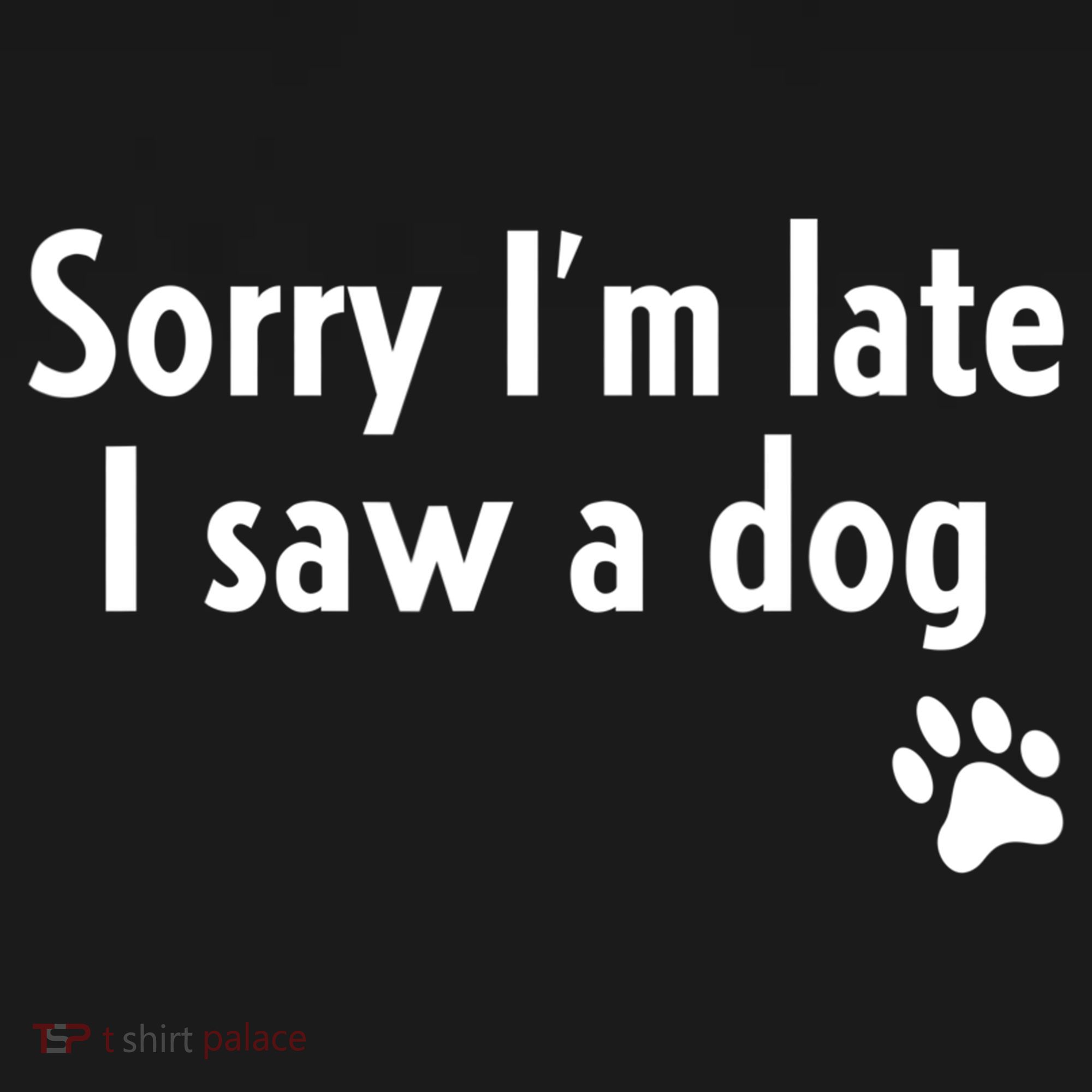 Funny Sorry I'm Late I Saw A Dog Gift Funny Dog Lover Gift Women's Hoodie