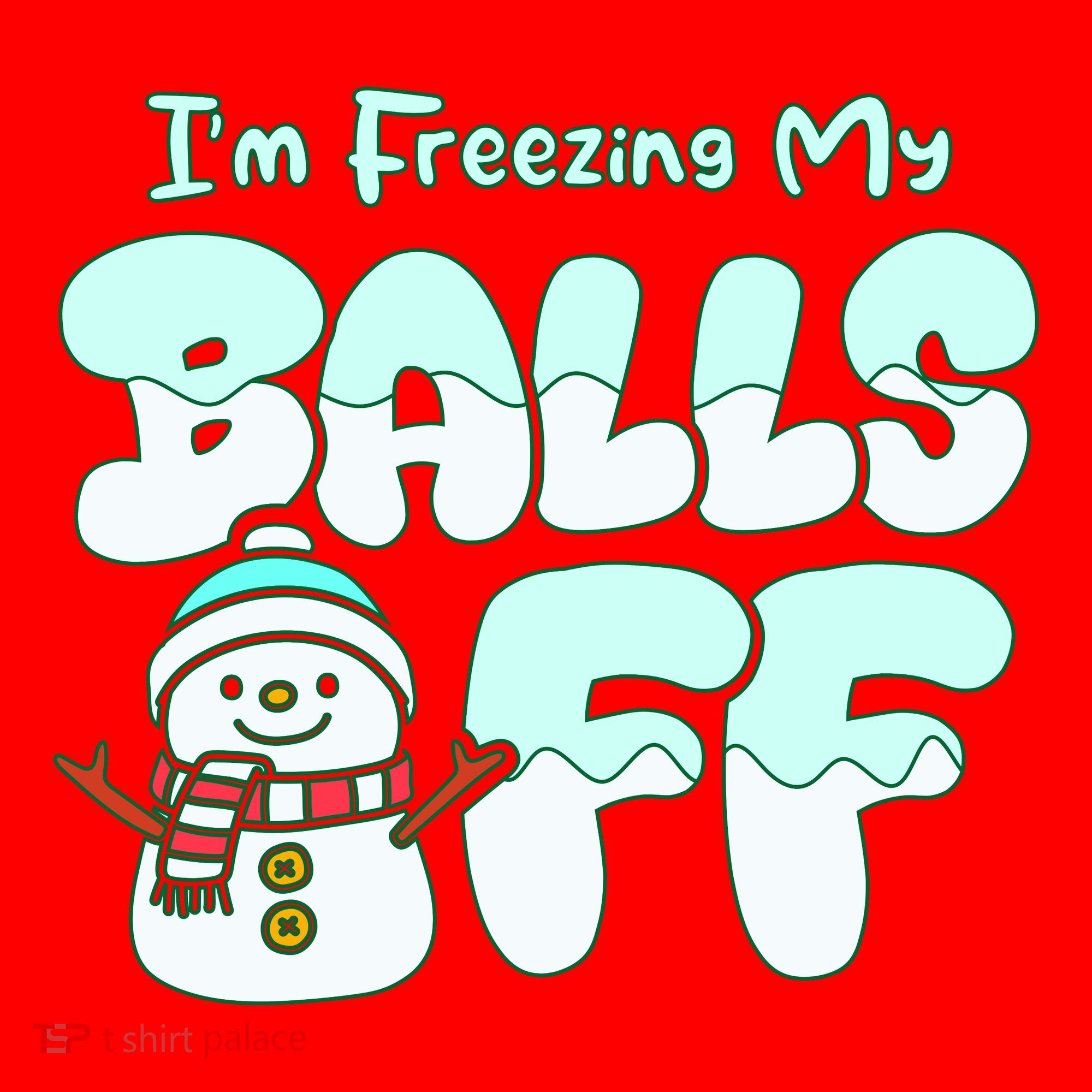 Funny Snowman I Am Freezing My Balls Off Santa Hat