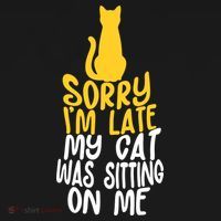 Funny Sorry Im Late My Cat Was Sitting On Me Women's Hoodie thumb 2
