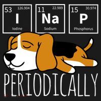 Funny Science I Nap Periodic Table Meme Meh Beagle Dog Gift Women's Hoodie thumb 2