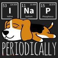 Funny Science I Nap Periodic Table Meme Meh Beagle Dog Gift Golf Towel thumb 3