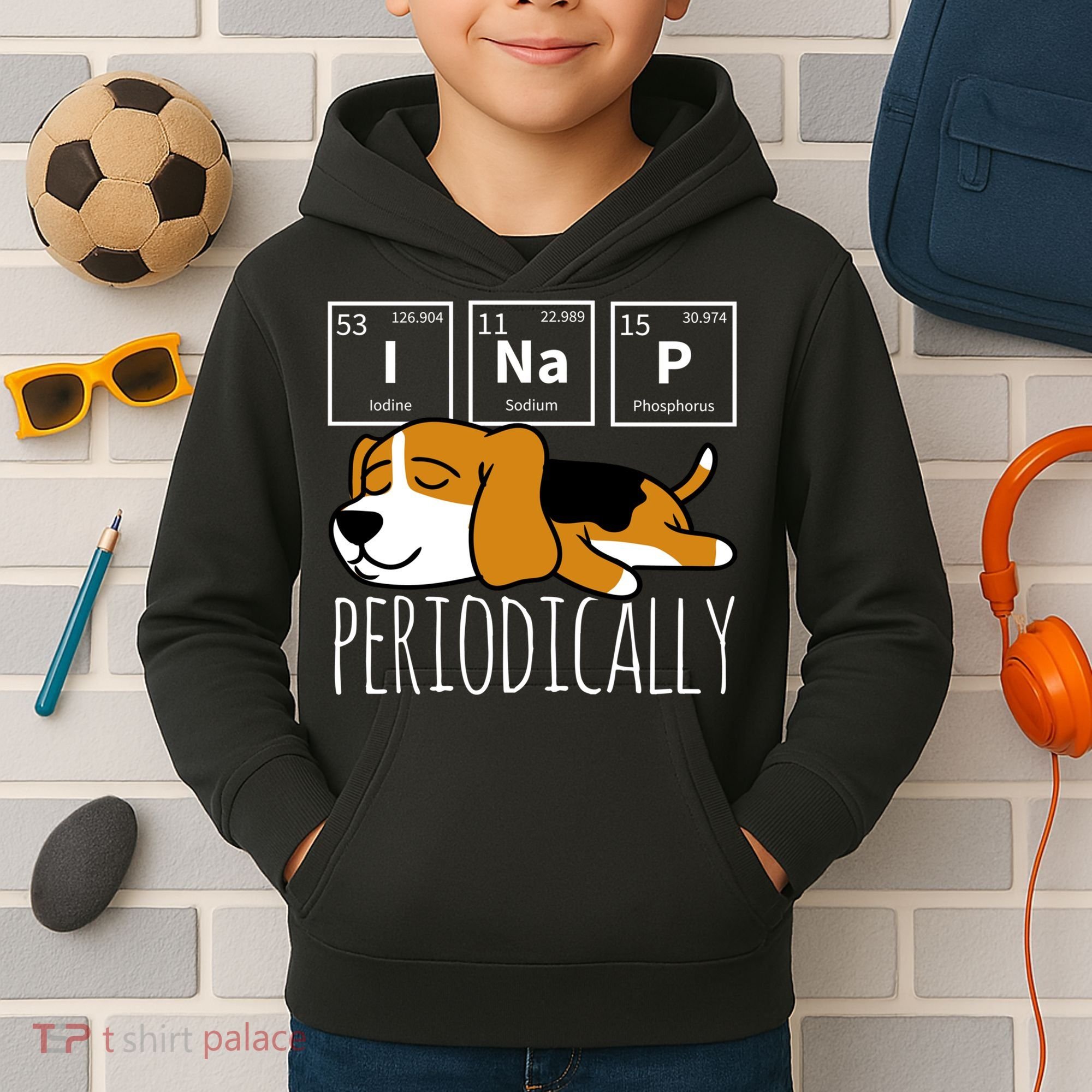 Funny Science I Nap Periodic Table Meme Meh Beagle Dog Gift Kids Hoodie