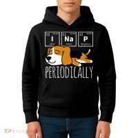 Funny Science I Nap Periodic Table Meme Meh Beagle Dog Gift Kids Hoodie thumb 4